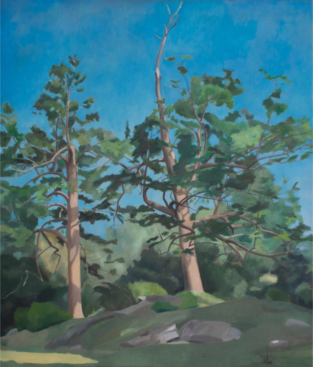 Francis Cunningham - Basswood